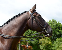 Solomon Hickstead RIHS 2016